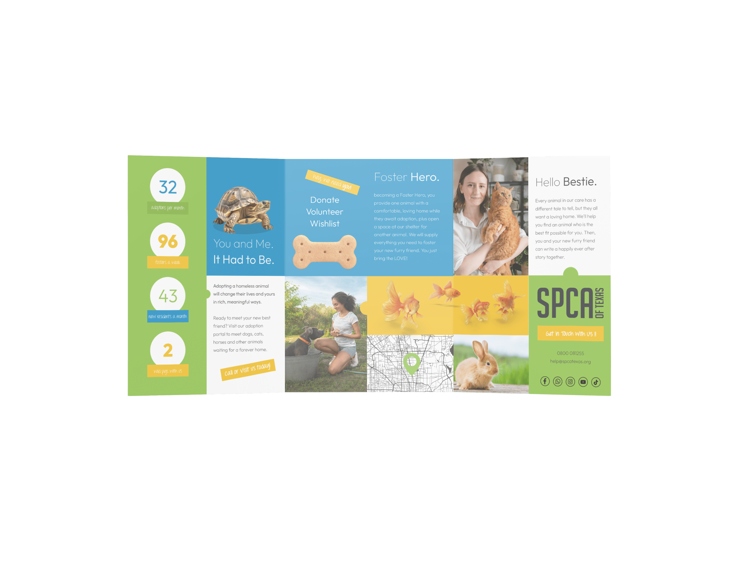 Texas SPCA folded adoption brochure with blue and green panels