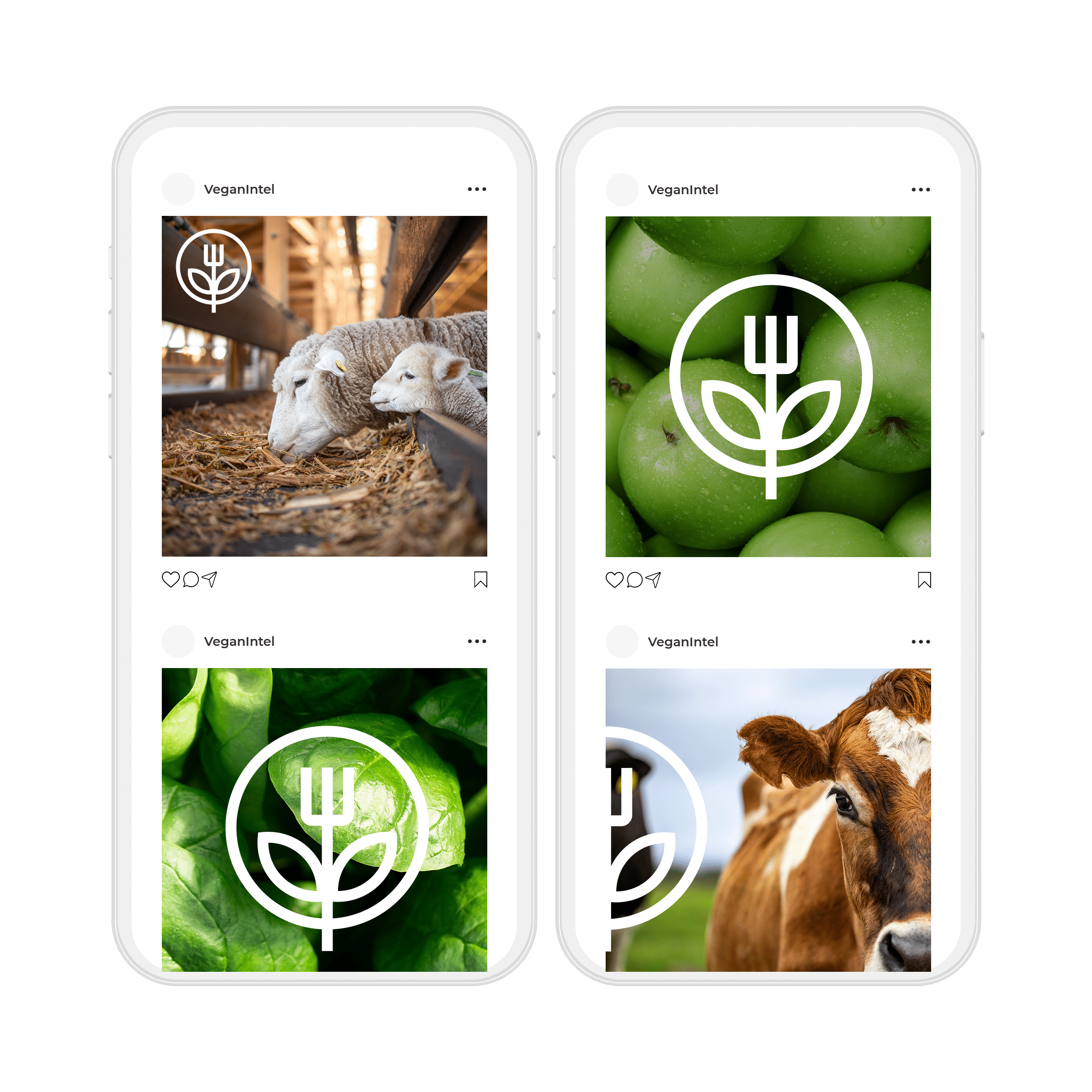 Green brand identity and social media campaign displayed on two mobile phones.
